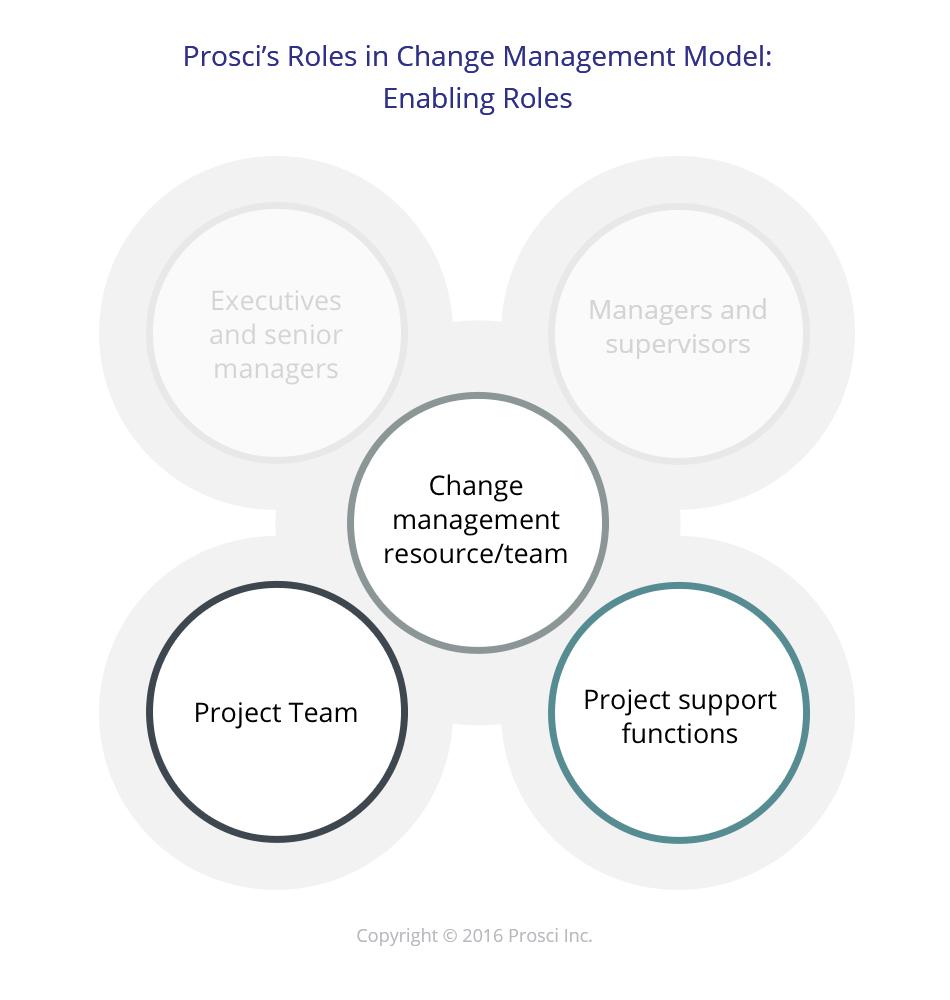 Change Management Model, Enabling Roles