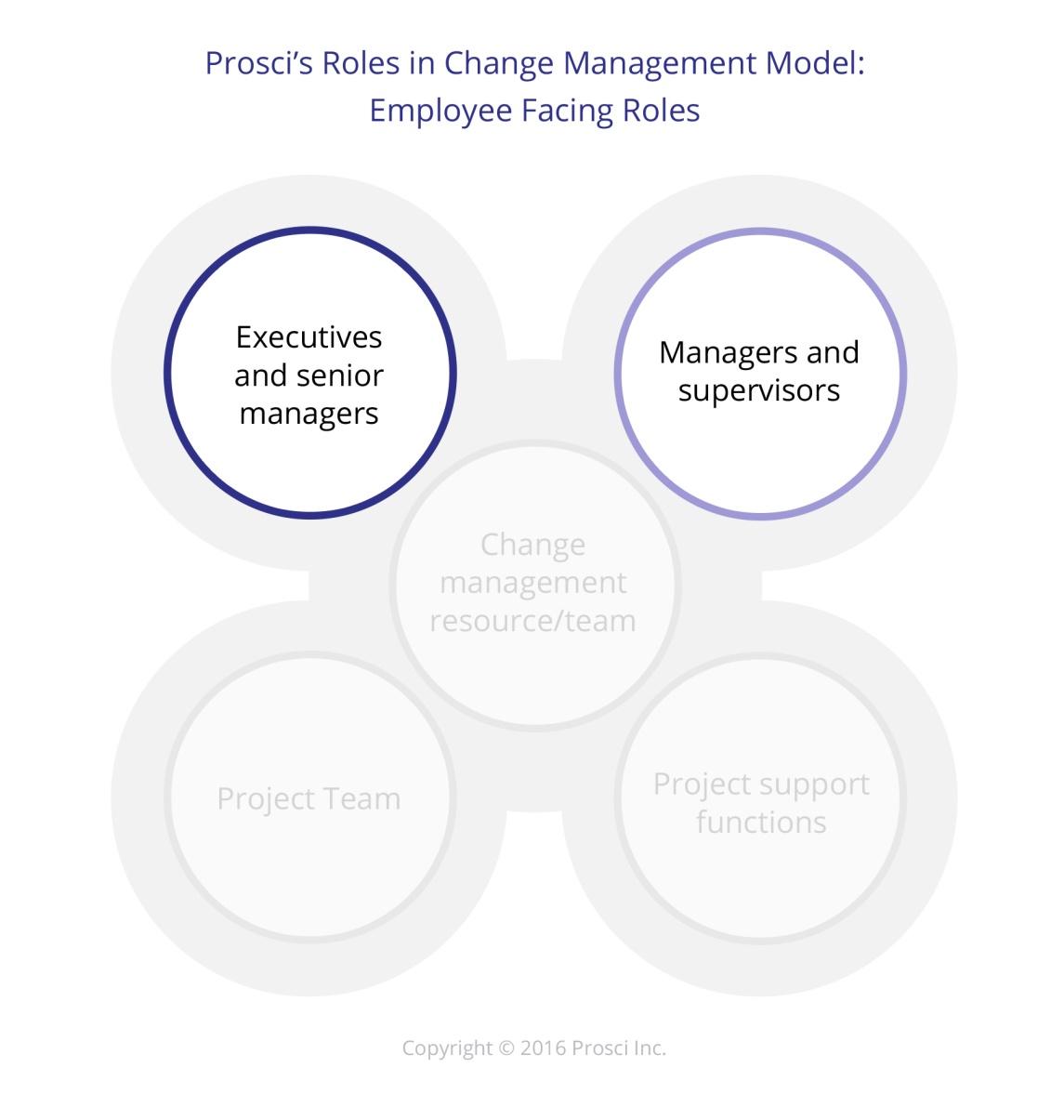 Change Management Roles Employee Facing Roles