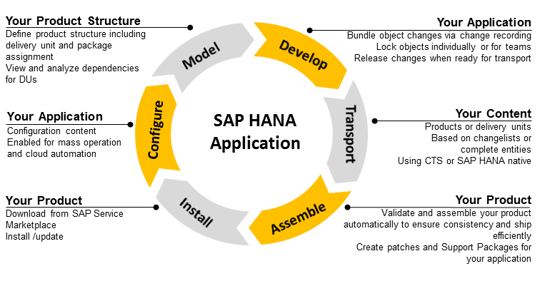 SAP HANA Applications