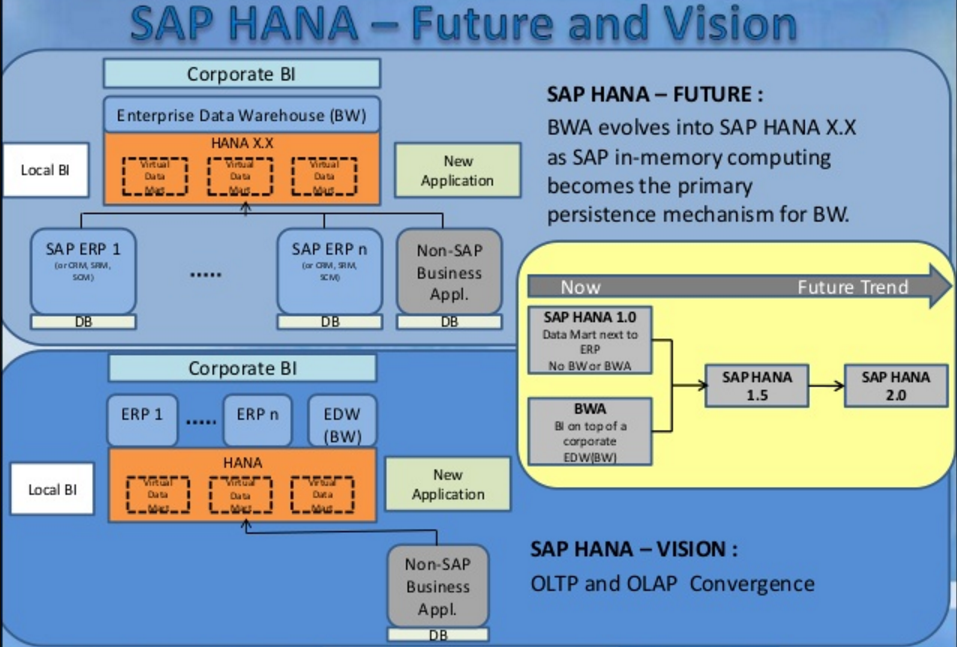 SAP HANA - The Future and the vision