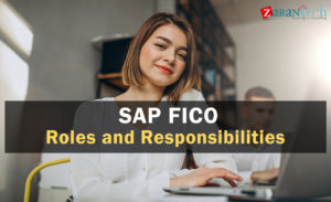 Sap Fico Roles And Responsibilities | Zarantech