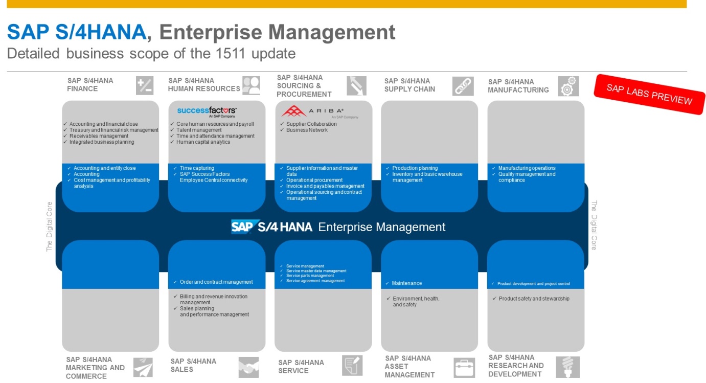 SAP Enterprise Management