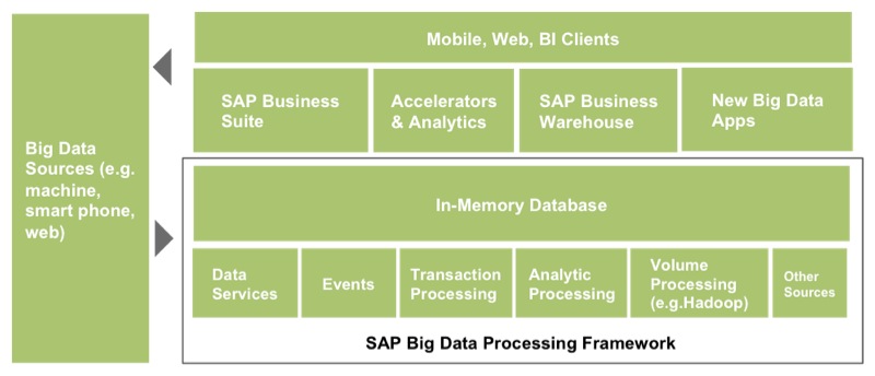 SAP Big Data Processing Framework