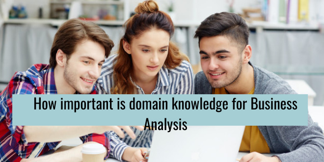 How important is domain knowledge for