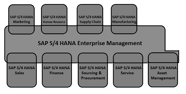 SAP S4 HANA Enterprise Management