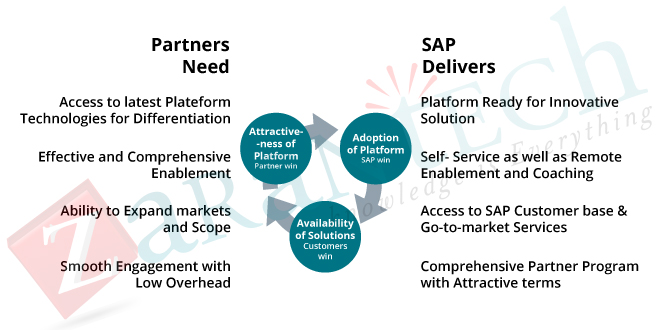 Does-the-partner-receive-support-from-the-SAP-eco-system