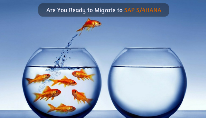 Are You Ready to Migrate to SAP S4HANA