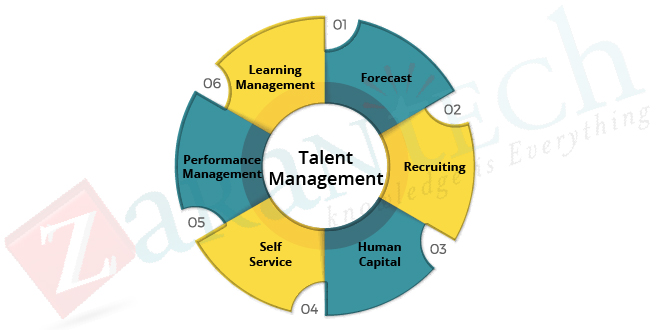 Performance-and-Talent-Management