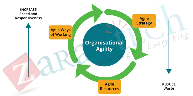 Emphasis on Organizational Agility|ZaranTech