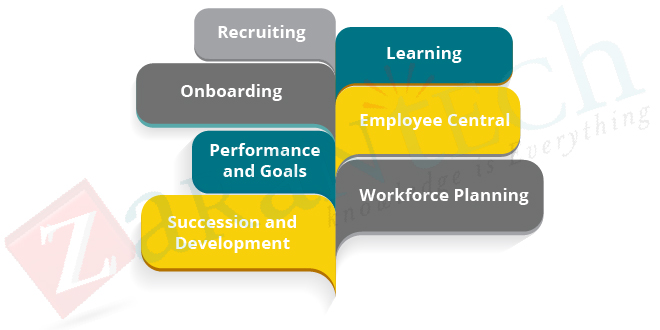 Features-of-SAP-SuccessFactors
