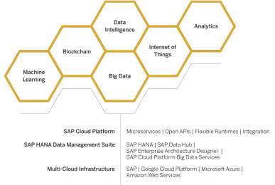 SAP cloud platform