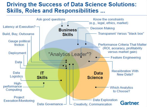 data science role