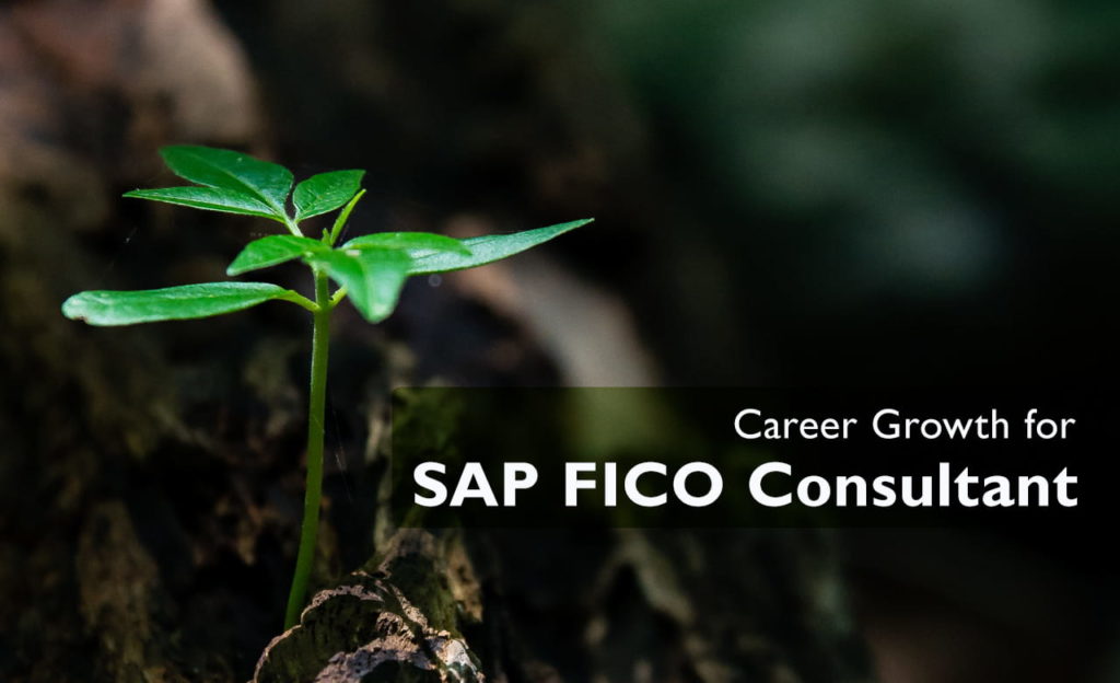 SAP_FICO__career_growth-sX4p3qfs