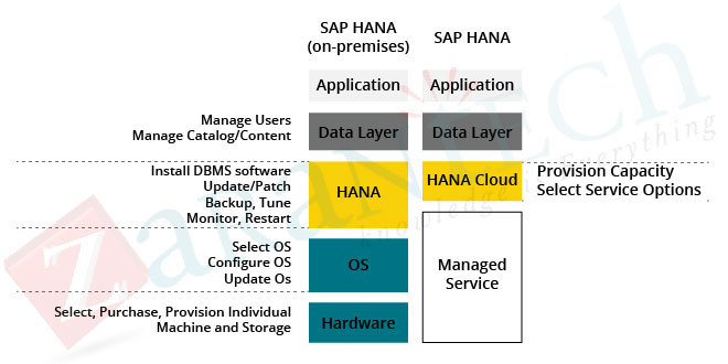 sap hana cloud and on-premise platform comparison