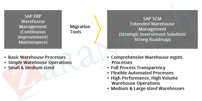 Why does a business get profit with the SAP EWM option?