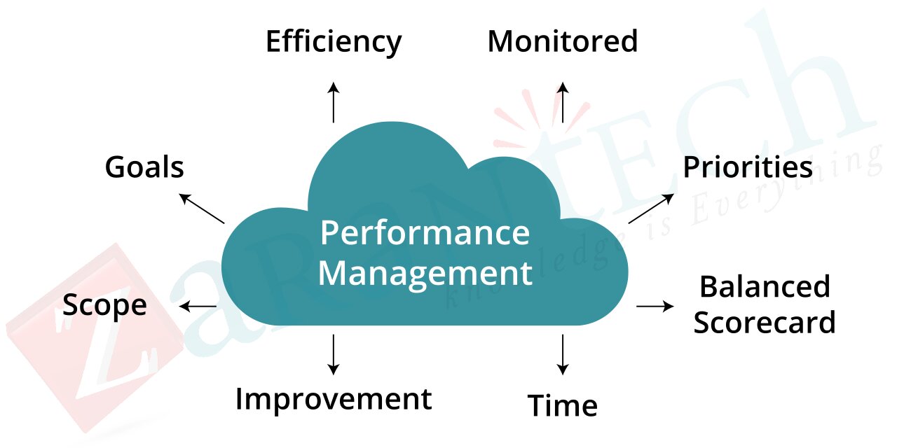 What is performance management