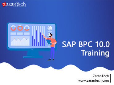 SAP BPC 10.0 Training